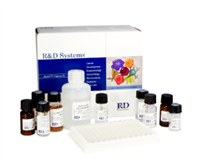 MPO大鼠髓过氧化物酶(MPO)ELISA试剂盒