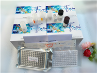 ANGA兔子抗中性粒细胞颗粒抗体(ANGA)ELISA试剂盒