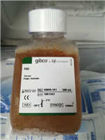 GIBCO,不含丙酮酸钠