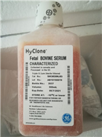 Hyclone，新西�m胎牛 SH30406.02 500ML