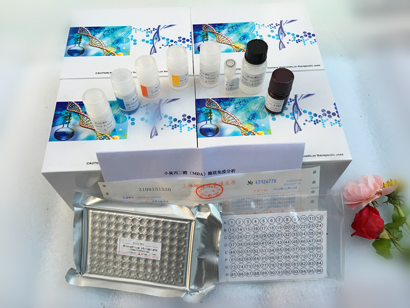 兔子Ⅰ型前胶原羧基端肽(PⅠCP)ELISA试剂盒