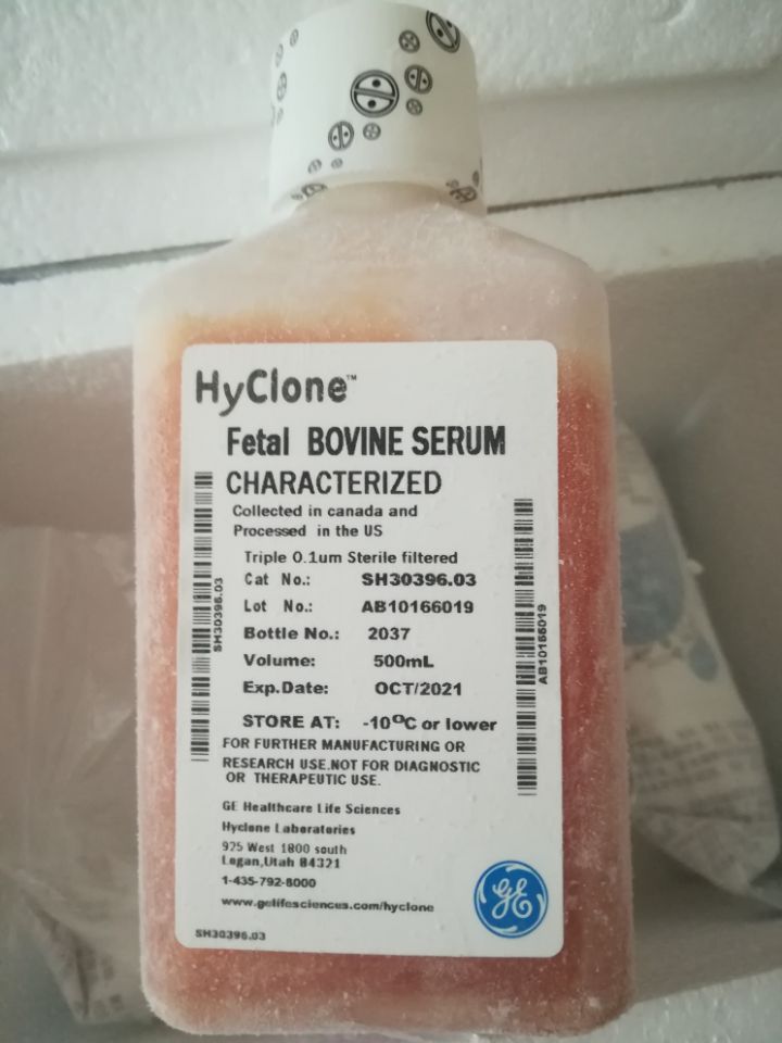 Hyclone，新西兰胎牛 SH30406.02 500ML