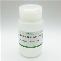BP-DL081-100ml瑞氏染色液