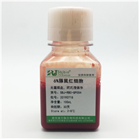 SBJ-RBC-GP005-100ml10%豚鼠红细胞