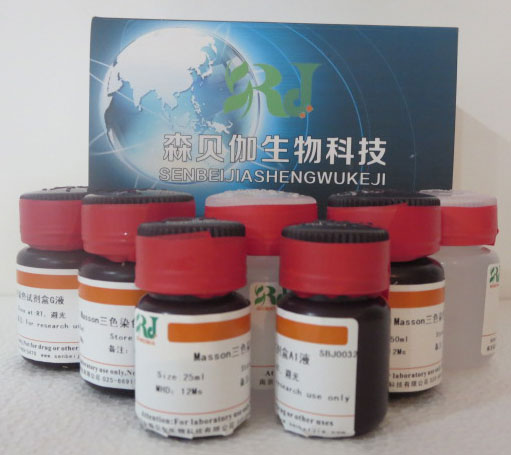 RNase A(10mg/ml)