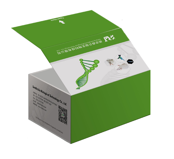 ǻ׵(GA)ELISA KIT