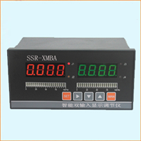 SSR-XMBA-9000双路显示控制仪