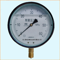 YTN-100B不锈钢耐震压力表